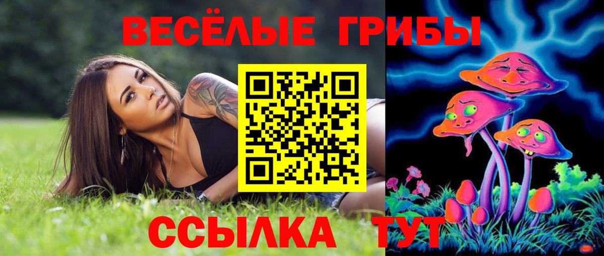Галлюциногенные грибы Psilocybe  Вход с VPN  Галлюциногенные грибы Magic Shrooms  Выборг 